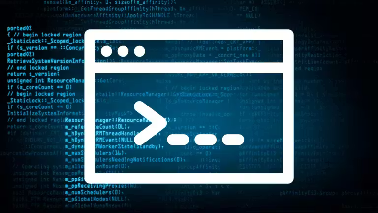 Pigeon Service Management System terminal interface